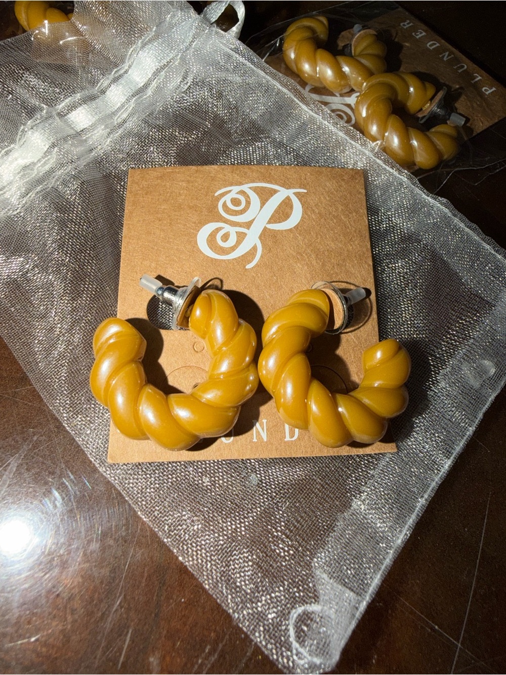 Twisted Hoop Resin Earrings